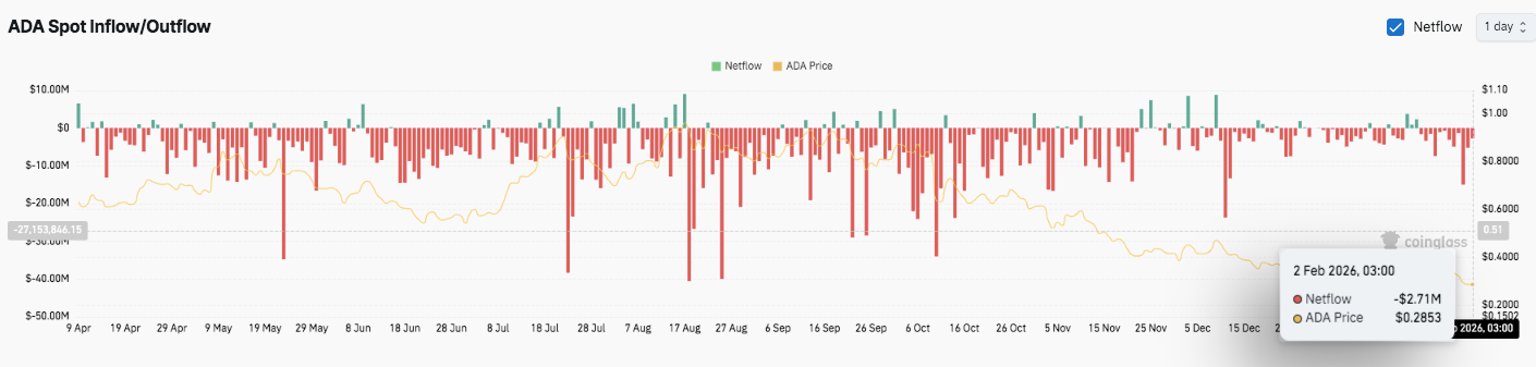 揭秘,内幕巨鲸预,崩盘,ebpay承兑,ebpay钱包,ebpay官网