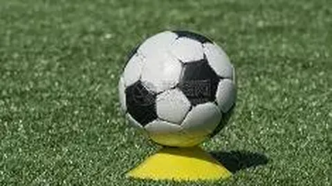 阿尔特塔，舒梅切尔呼吁：让球队回归足球本质，释放球员活力