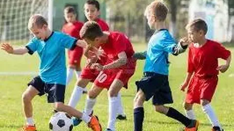 苏超主场争霸：揭秘13强球队主场风采