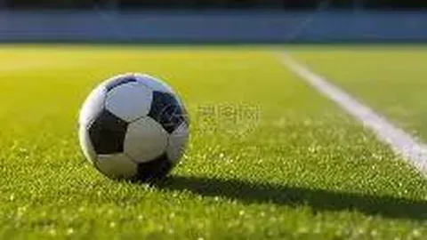 湖南师大附中：探寻“学体双优”人才培养之路